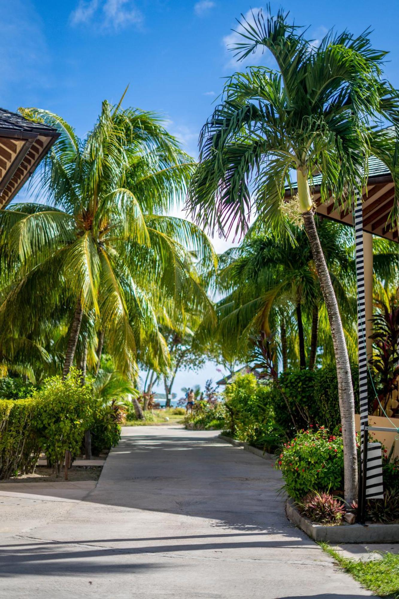 Castello Beach Hotel Grand Anse  Exterior photo